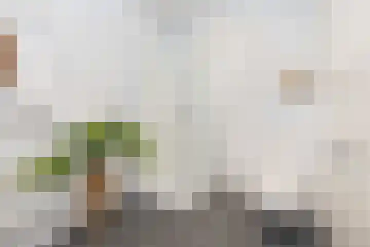 1e Oosterstraat 1 B Hilversum thumbnail 29