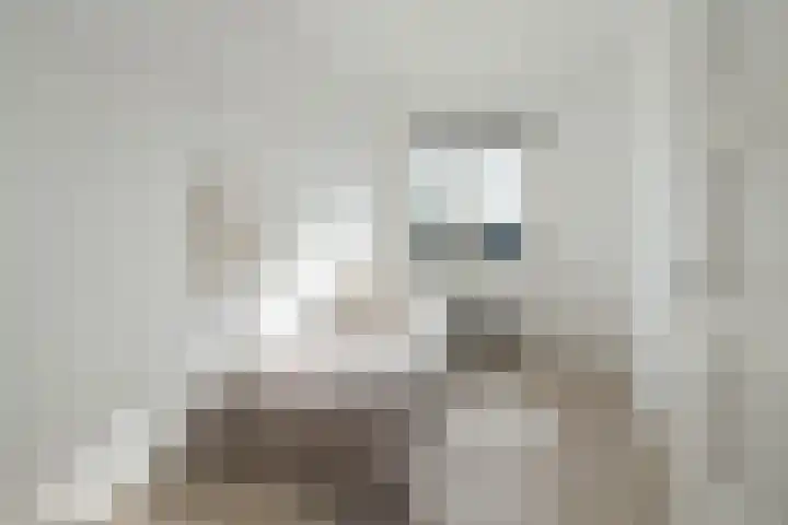 1e Oosterstraat 1 B Hilversum thumbnail 35