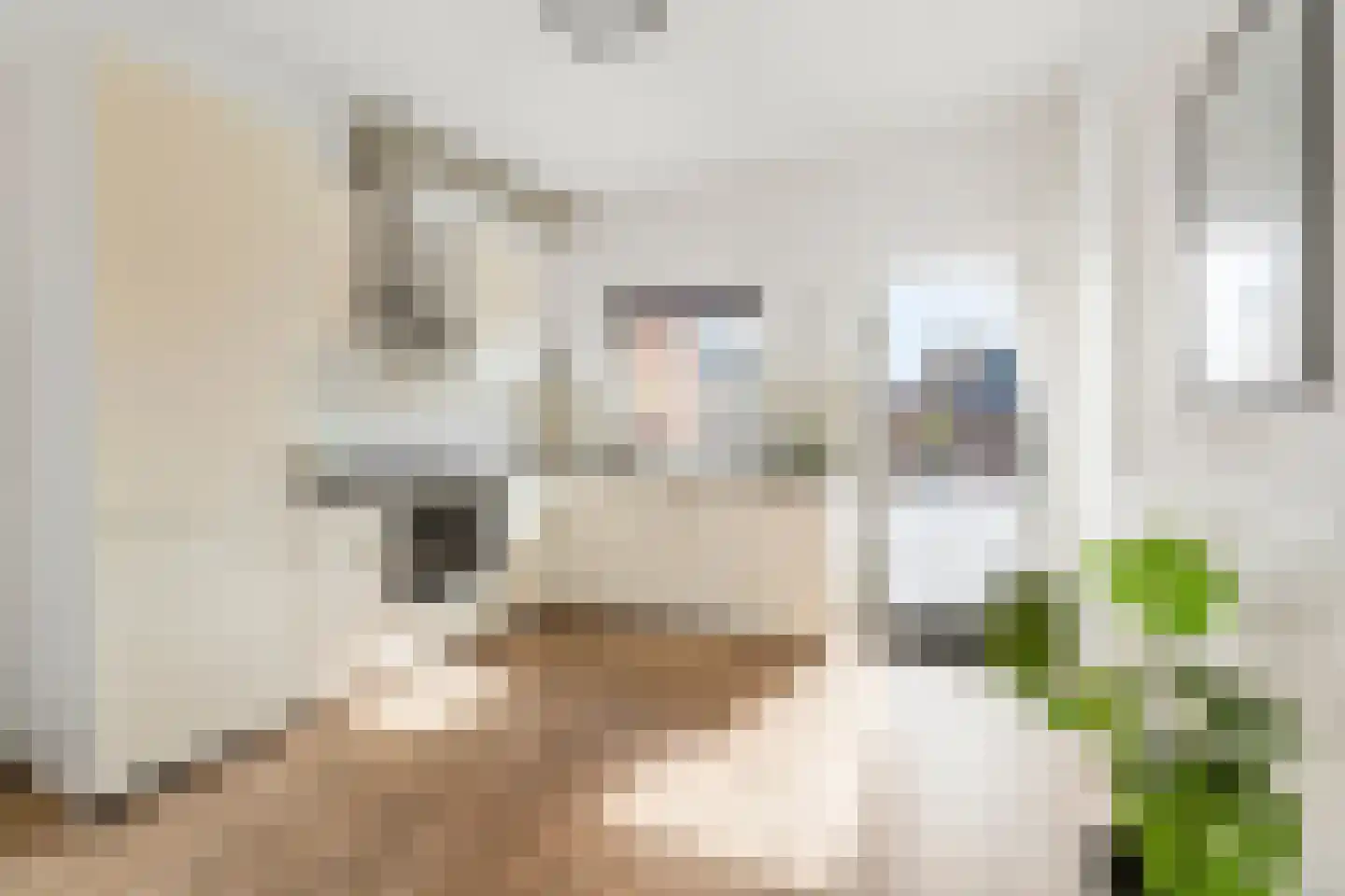 1e Oosterstraat 1 C Hilversum thumbnail 10
