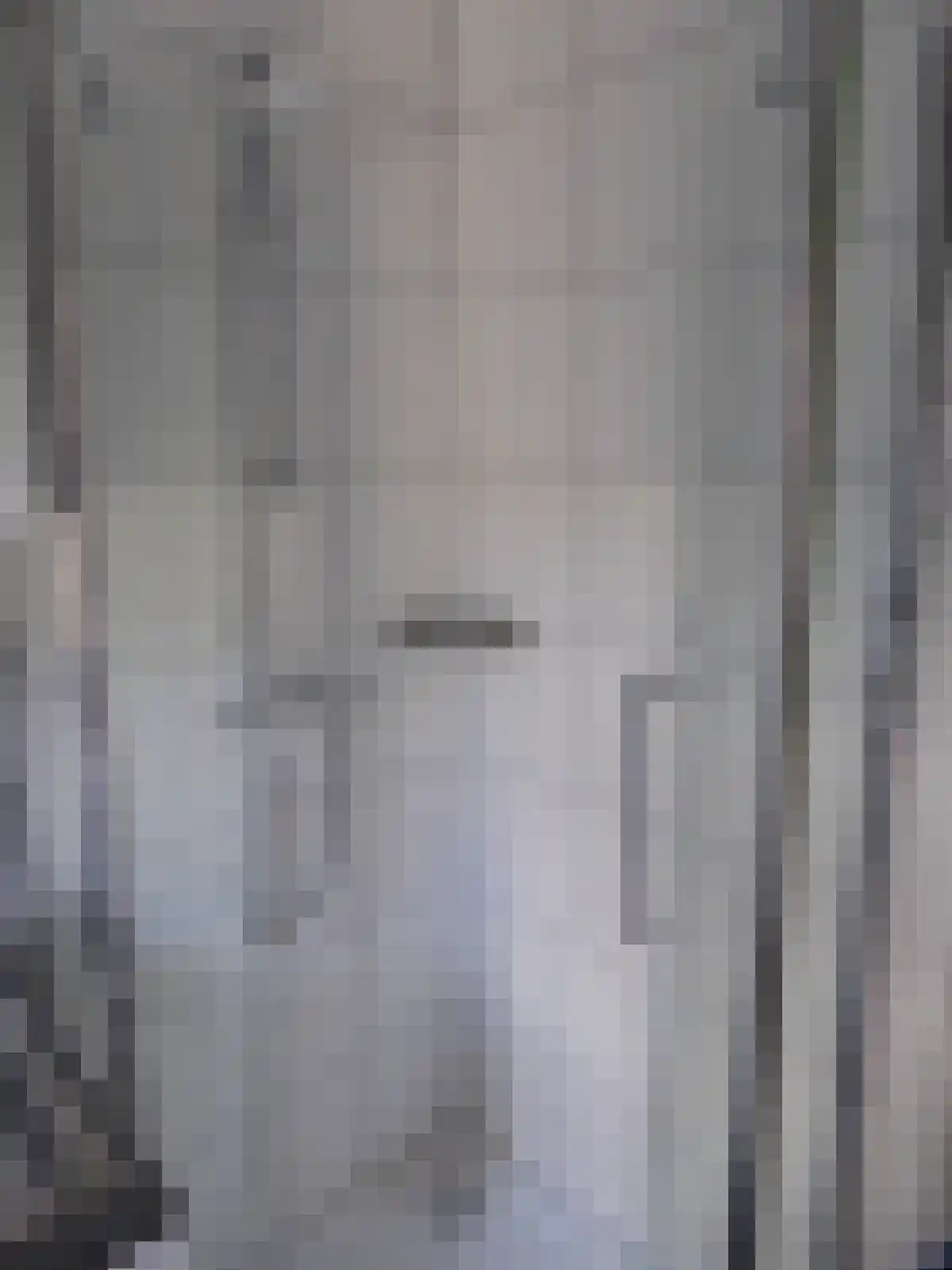 1e Oosterstraat 9 BG Hilversum thumbnail 4