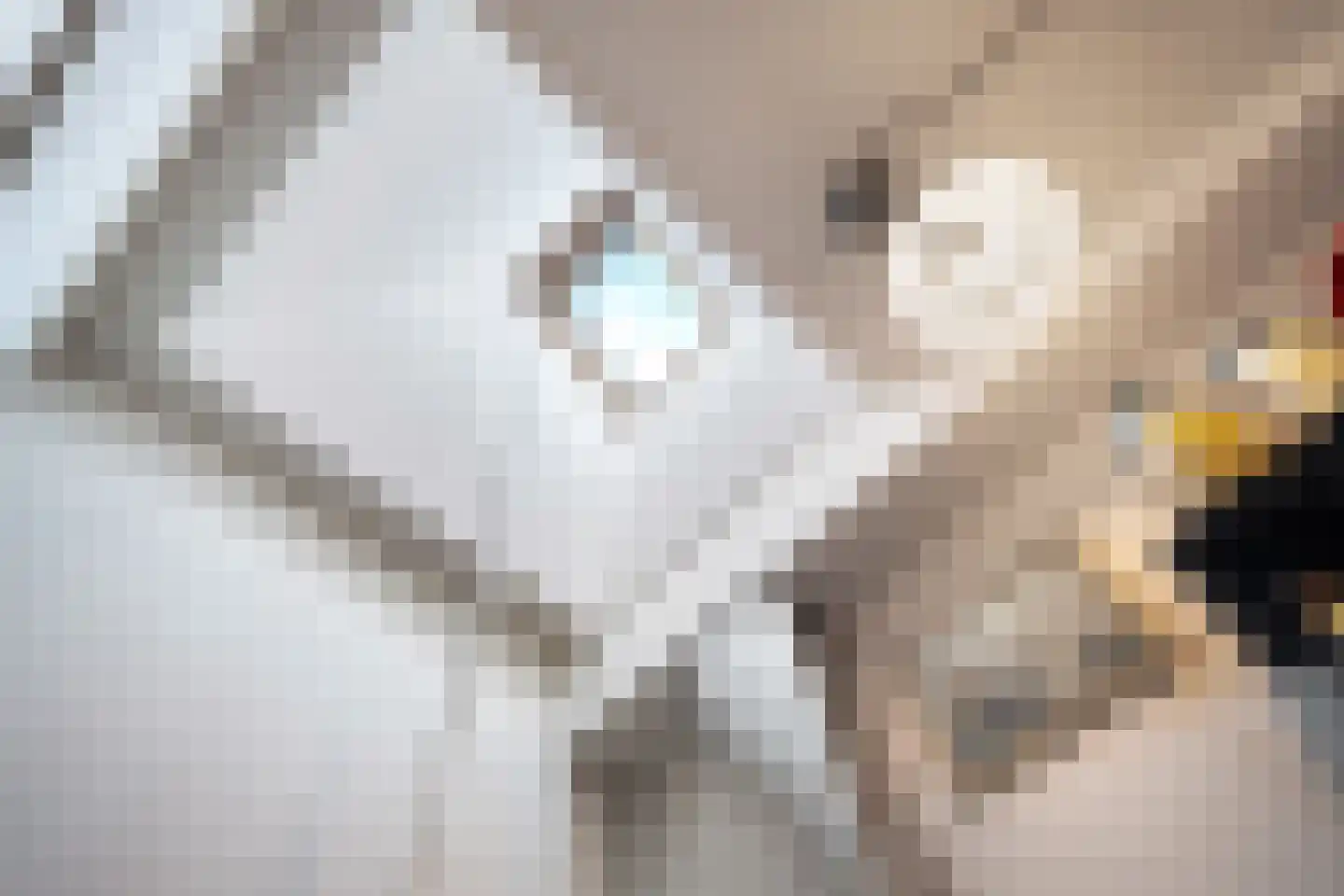 1e Oosterveldstraat 2 Grou thumbnail 11