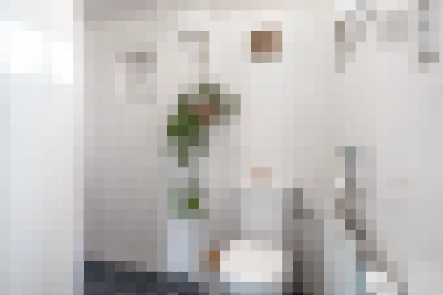 1e Oosterveldstraat 2 Grou thumbnail 13