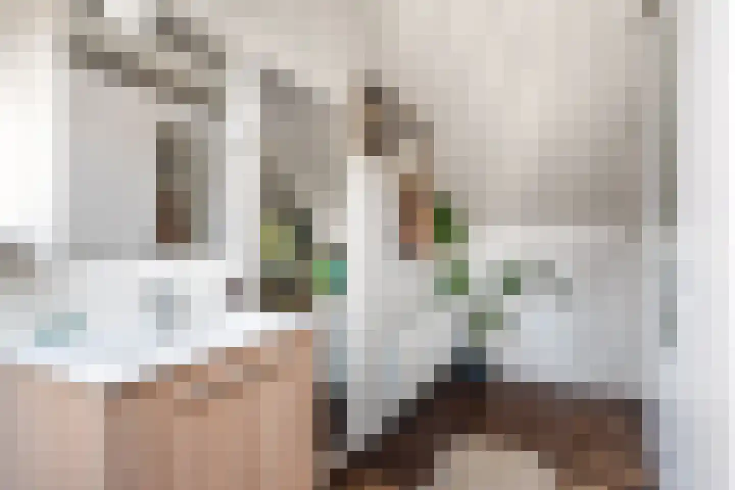 1e Oosterveldstraat 2 Grou thumbnail 18