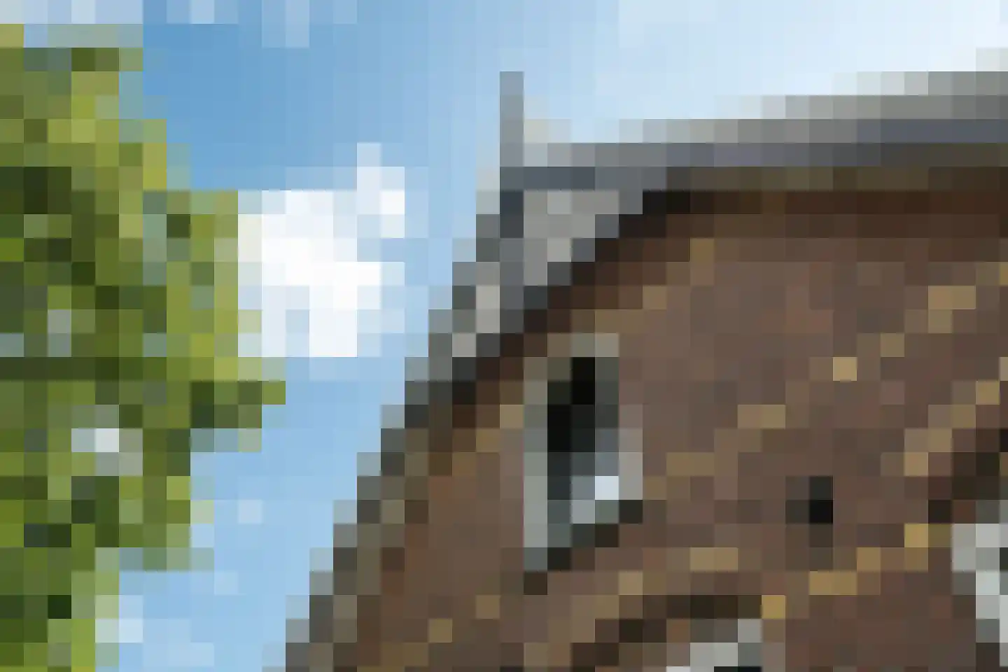 1e Oosterveldstraat 2 Grou thumbnail 30