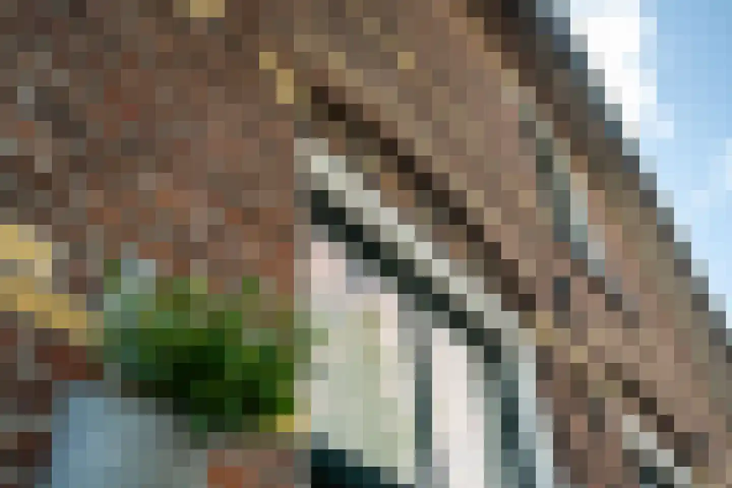 1e Oosterveldstraat 2 Grou thumbnail 33
