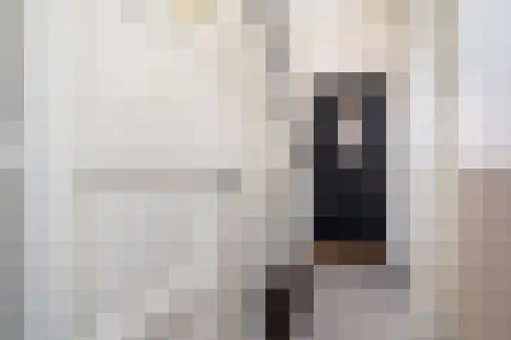 1e Oosterveldstraat 51 Grou thumbnail 25