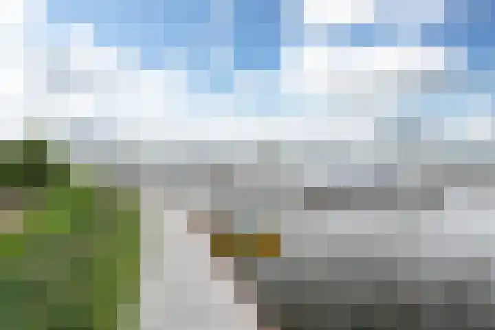 1e Oosterveldstraat 51 Grou thumbnail 42