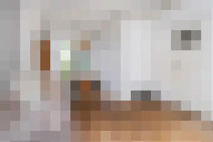 1e Oosterveldstraat 51 Grou thumbnail 9