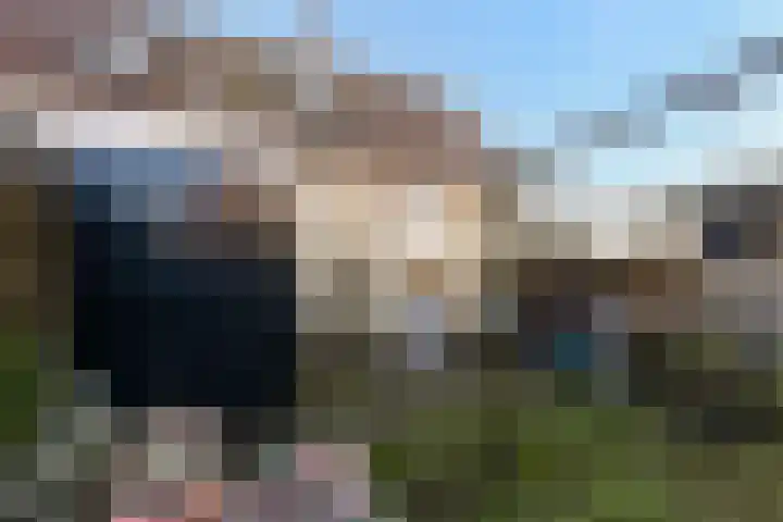 1e Oosterveldstraat 9 Grou thumbnail 19