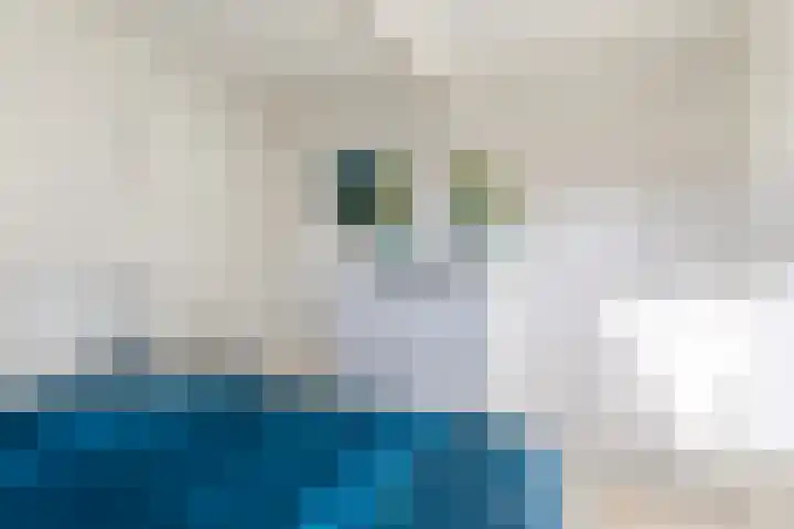 1e Oosterveldstraat 9 Grou thumbnail 25