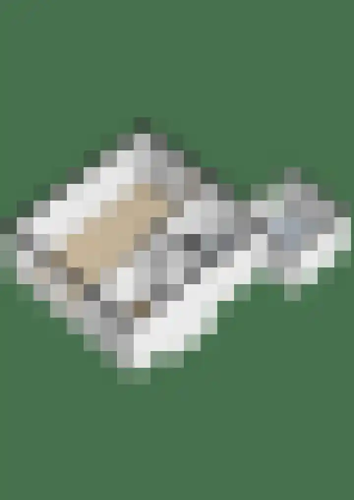 1e Oosterveldstraat 9 Grou thumbnail 38