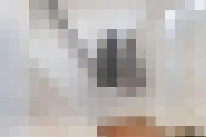 1e Oosterveldstraat 9 Grou thumbnail 8