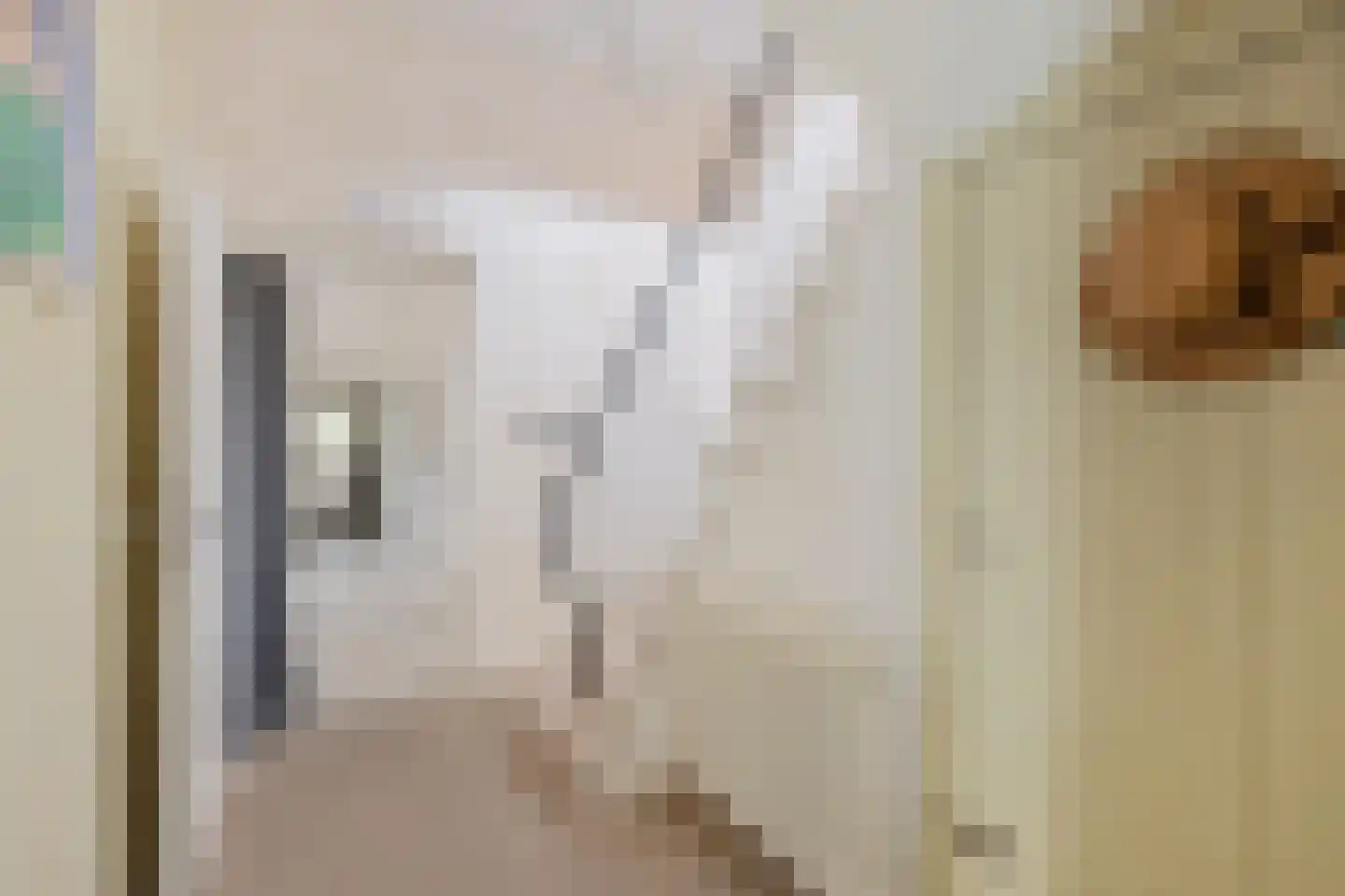 1e Pallertweg 11 Bourtange thumbnail 10