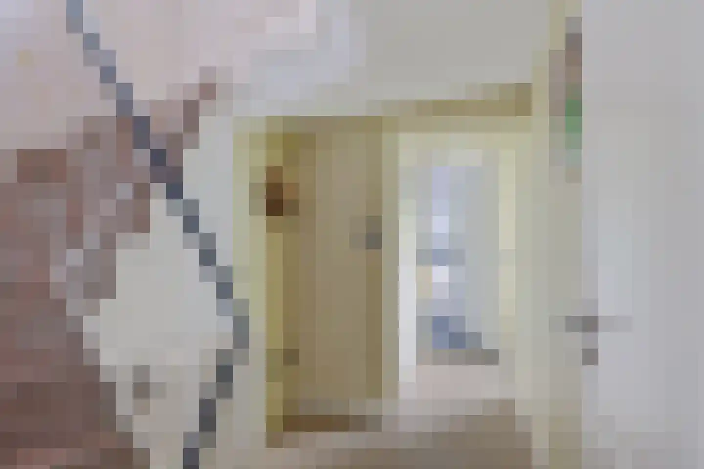 1e Pallertweg 11 Bourtange thumbnail 11