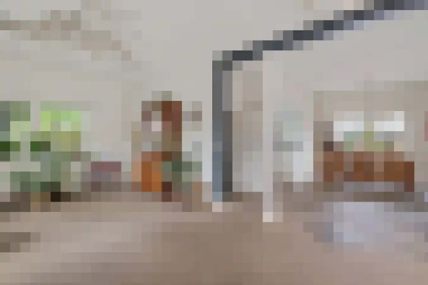 1e Pallertweg 11 Bourtange thumbnail 15