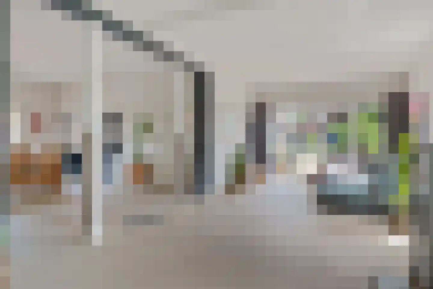 1e Pallertweg 11 Bourtange thumbnail 16