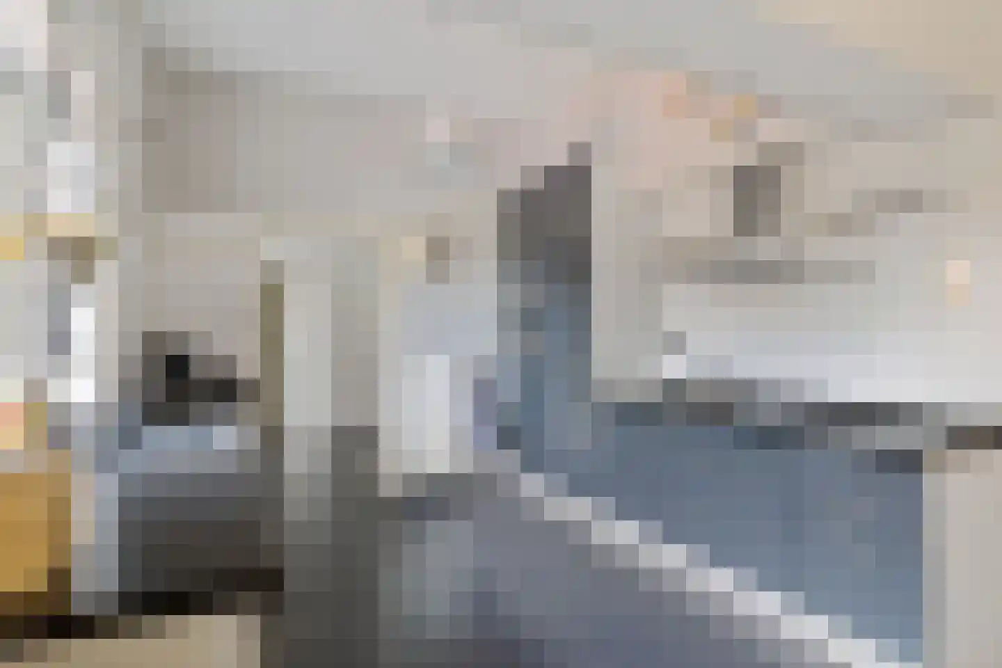1e Pallertweg 11 Bourtange thumbnail 19