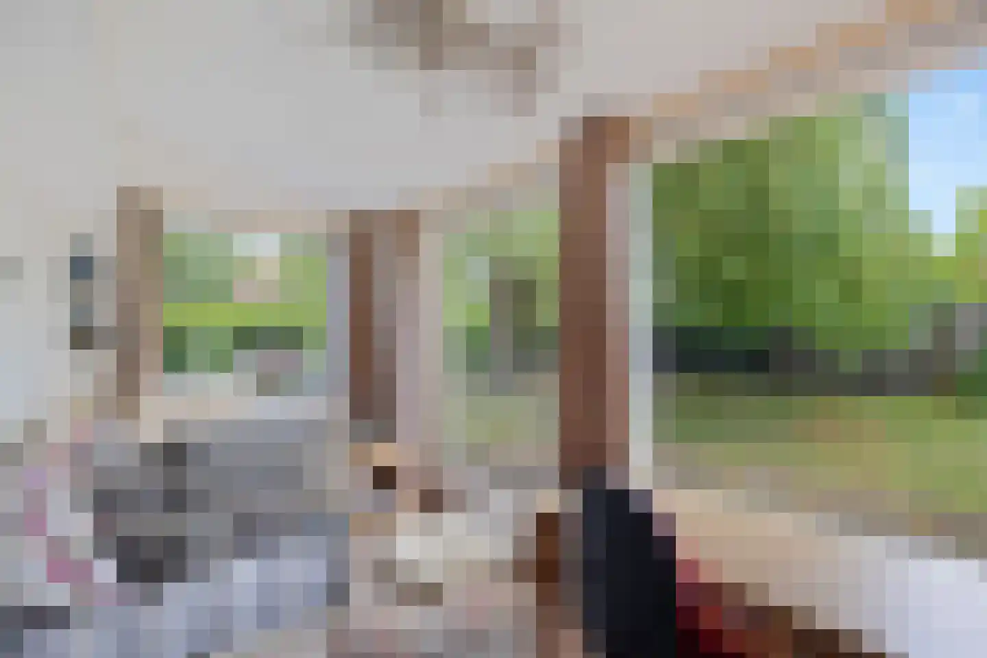 1e Pallertweg 11 Bourtange thumbnail 28