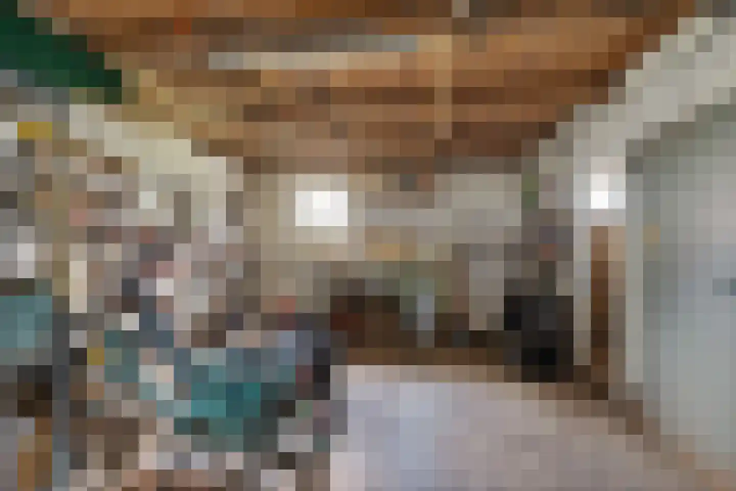 1e Pallertweg 11 Bourtange thumbnail 30