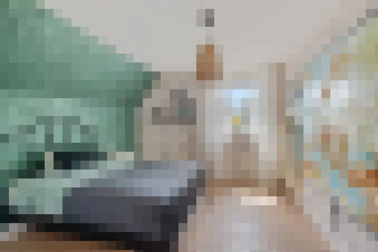 1e Pallertweg 11 Bourtange thumbnail 31
