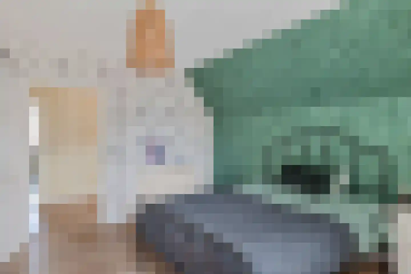 1e Pallertweg 11 Bourtange thumbnail 32