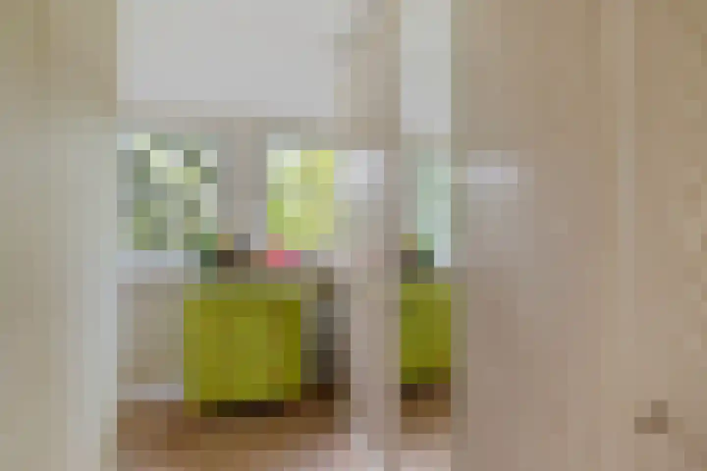 1e Pallertweg 11 Bourtange thumbnail 35