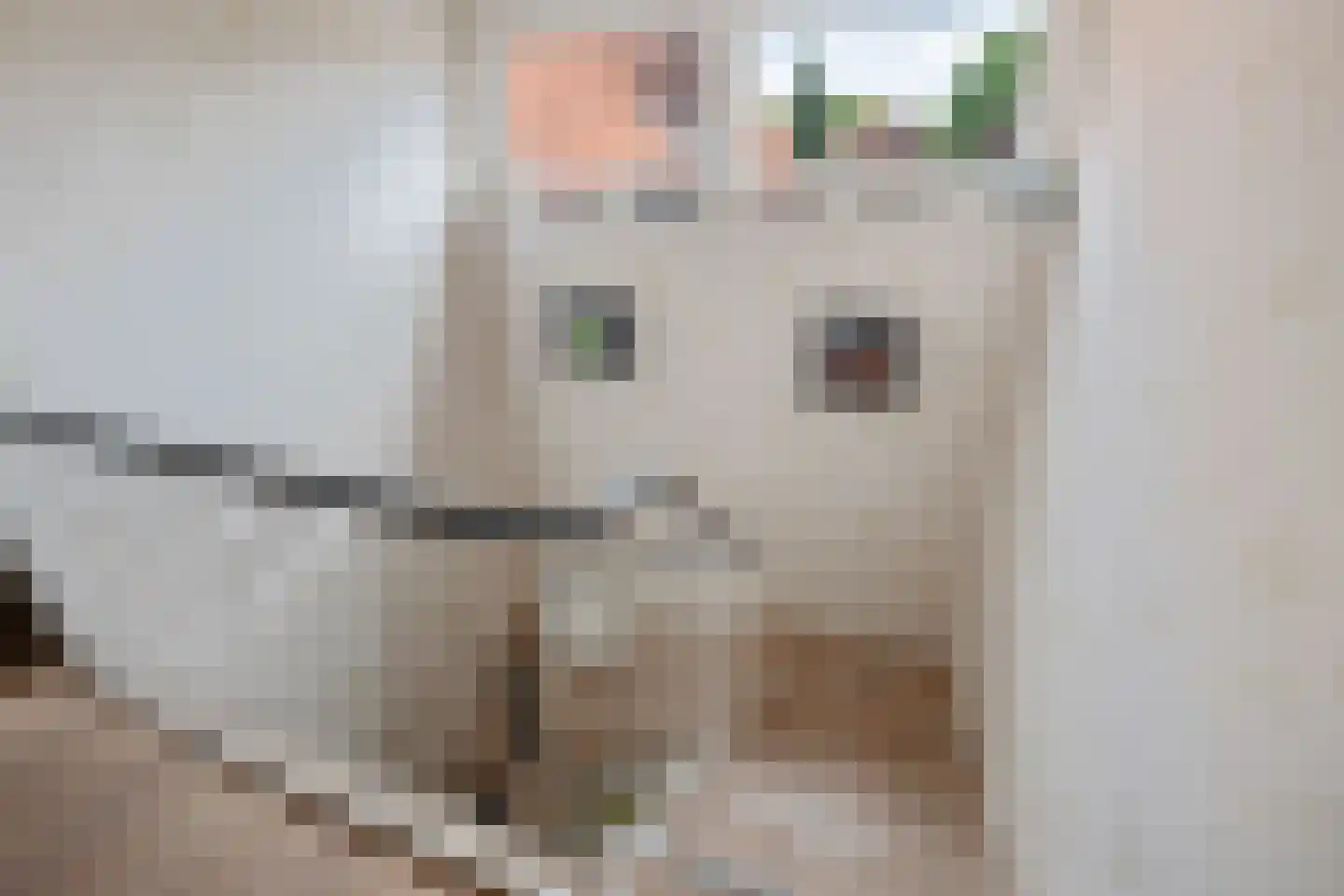 1e Pallertweg 11 Bourtange thumbnail 41