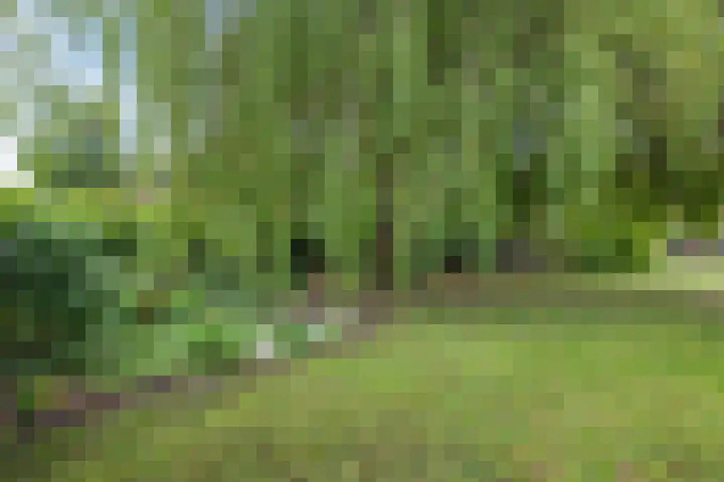 1e Pallertweg 11 Bourtange thumbnail 46