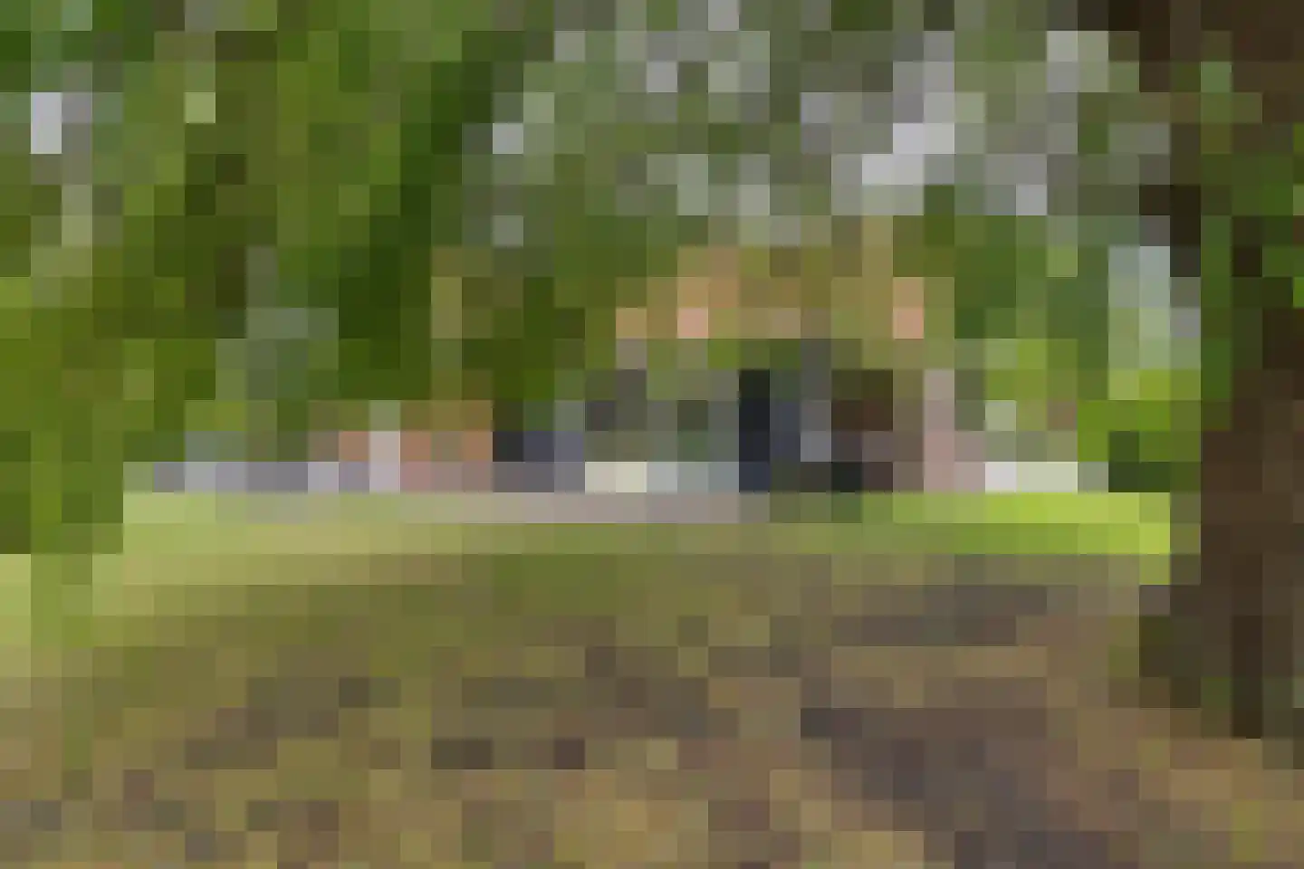 1e Pallertweg 11 Bourtange thumbnail 47
