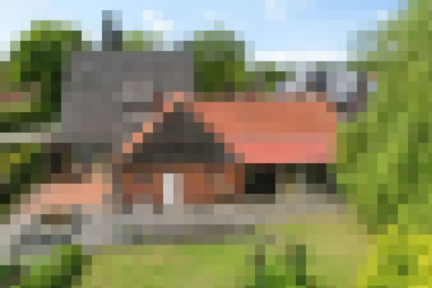 1e Pallertweg 11 Bourtange thumbnail 5