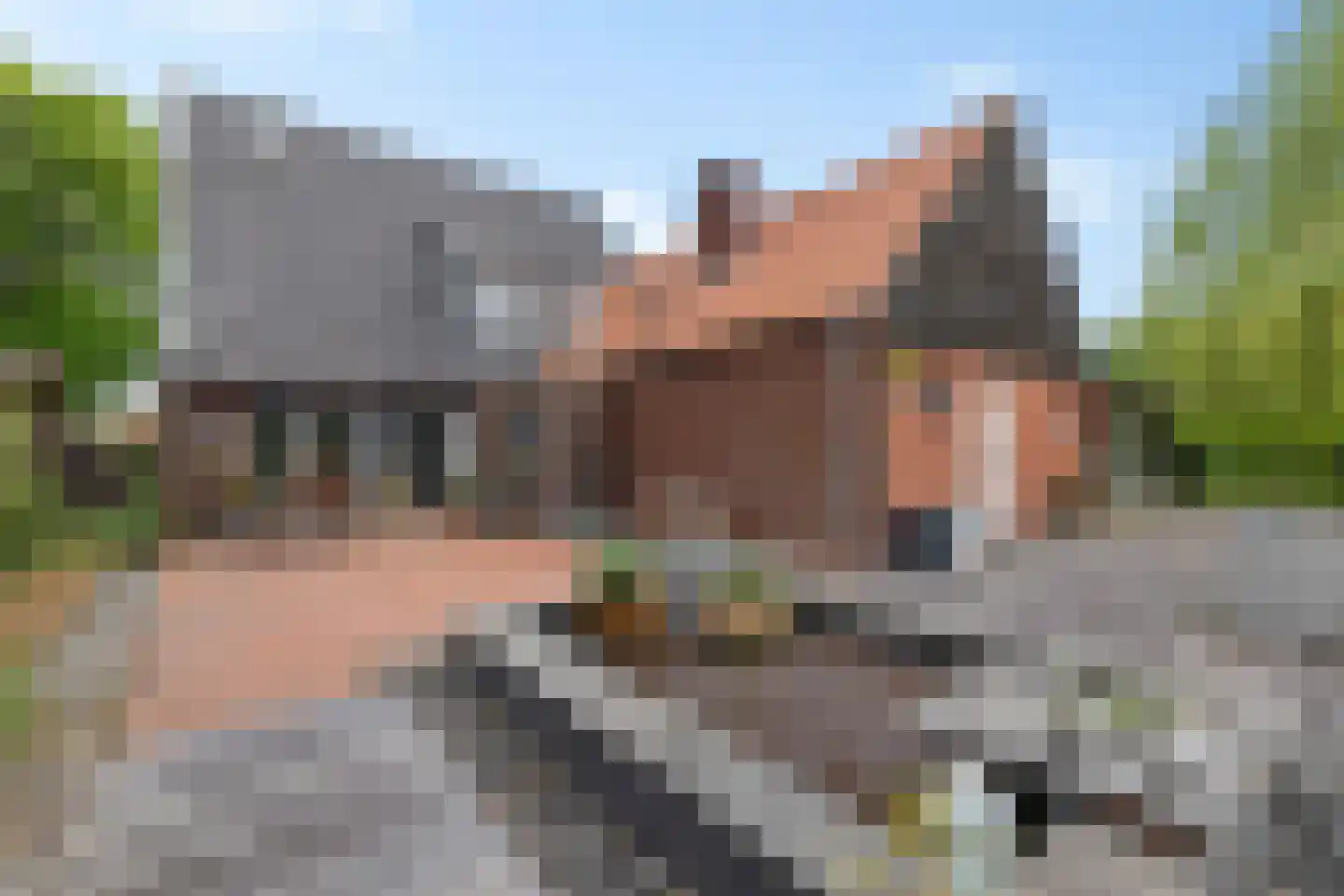 1e Pallertweg 11 Bourtange thumbnail 52