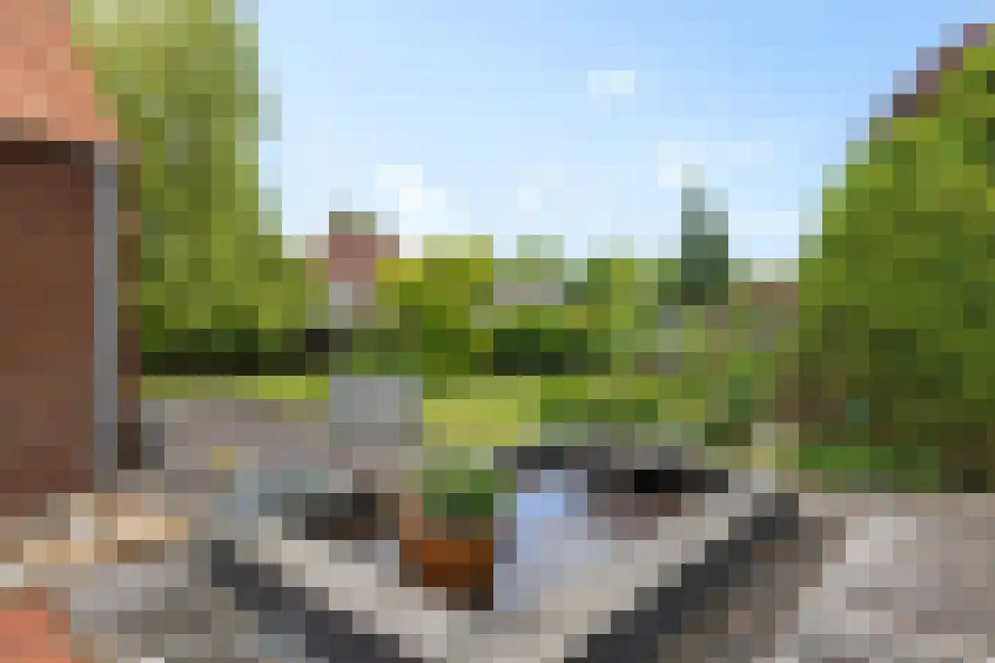 1e Pallertweg 11 Bourtange thumbnail 53