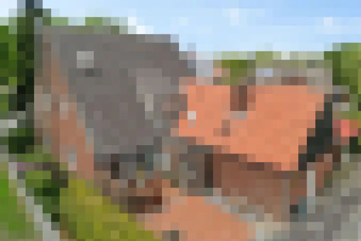 1e Pallertweg 11 Bourtange thumbnail 6
