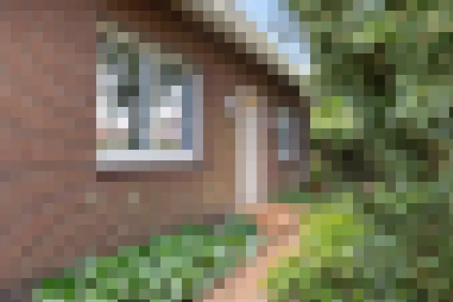 1e Pallertweg 11 Bourtange thumbnail 7