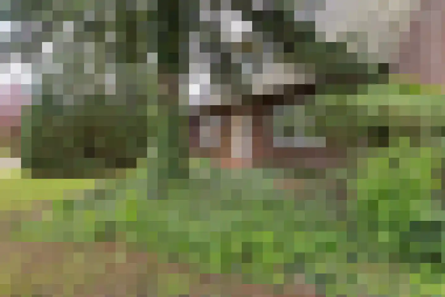 1e Pallertweg 11 Bourtange thumbnail 9