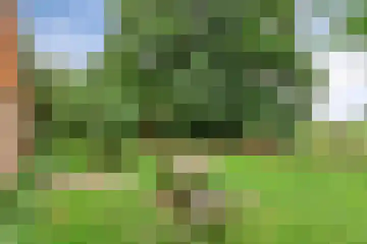 1e Pallertweg 16 Bourtange thumbnail 11