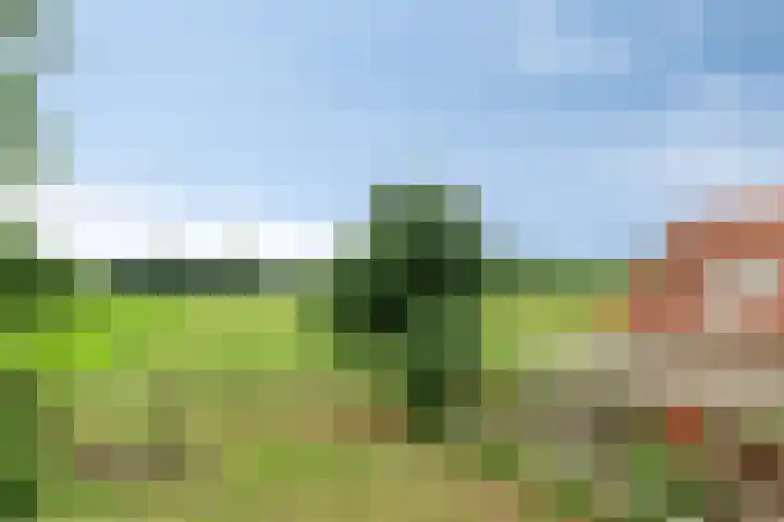 1e Pallertweg 16 Bourtange thumbnail 12
