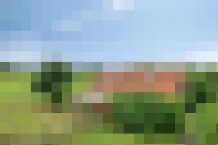 1e Pallertweg 16 Bourtange thumbnail 13