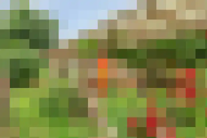 1e Pallertweg 16 Bourtange thumbnail 14