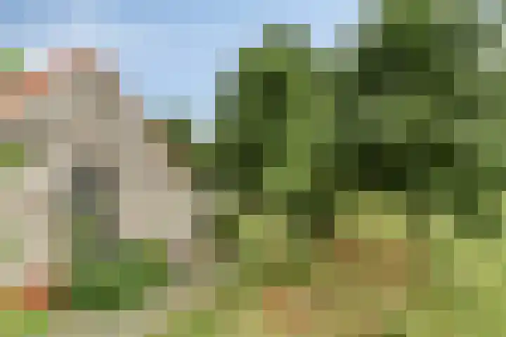 1e Pallertweg 16 Bourtange thumbnail 15
