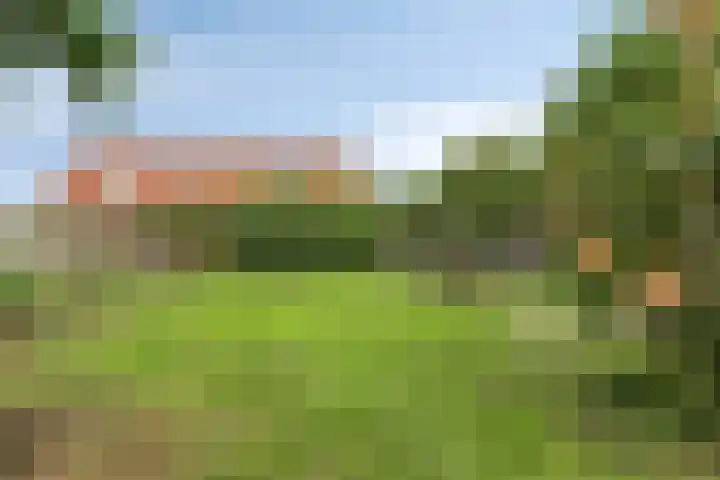 1e Pallertweg 16 Bourtange thumbnail 16
