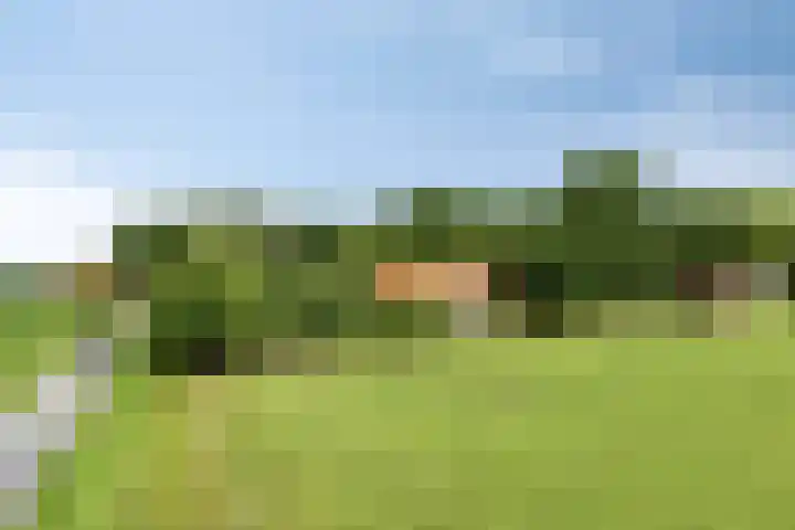 1e Pallertweg 16 Bourtange thumbnail 18
