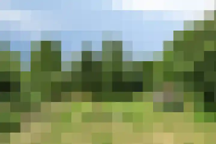 1e Pallertweg 16 Bourtange thumbnail 19