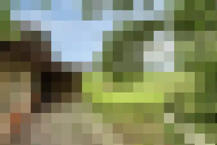 1e Pallertweg 16 Bourtange thumbnail 21