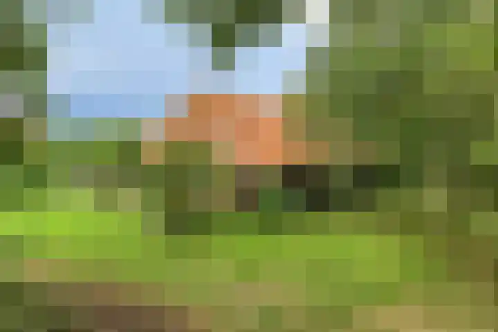 1e Pallertweg 16 Bourtange thumbnail 22