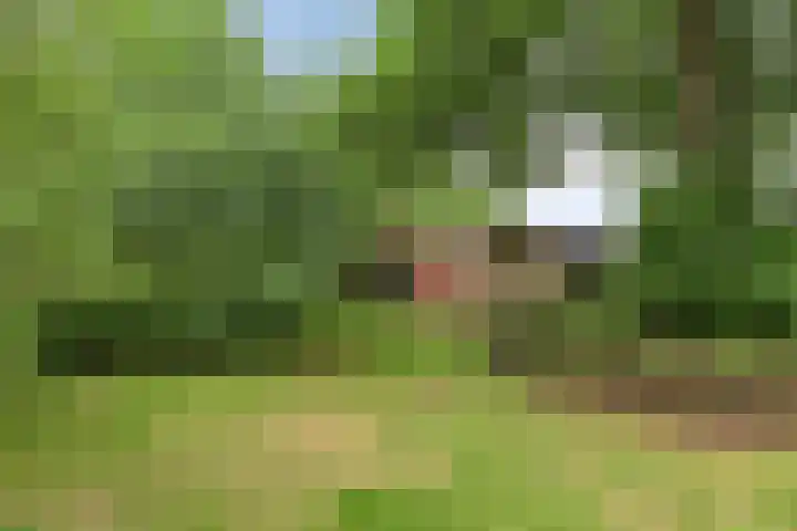 1e Pallertweg 16 Bourtange thumbnail 23