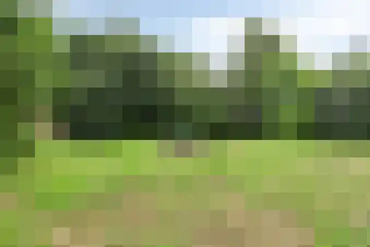 1e Pallertweg 16 Bourtange thumbnail 24