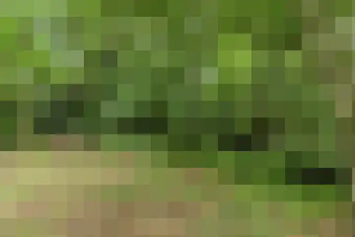 1e Pallertweg 16 Bourtange thumbnail 25