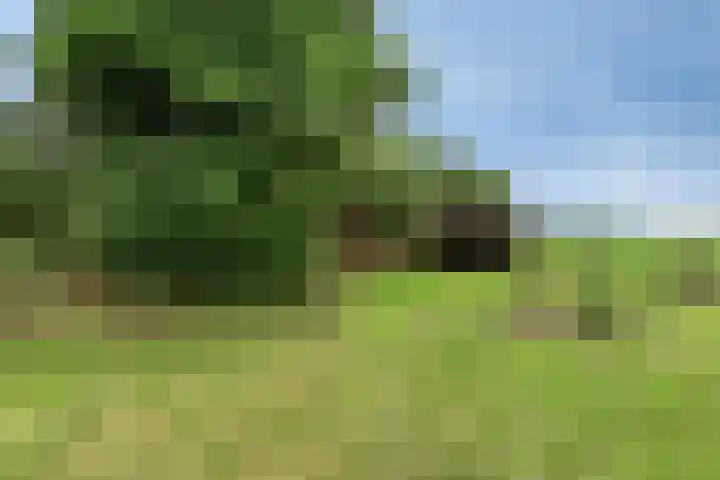 1e Pallertweg 16 Bourtange thumbnail 26