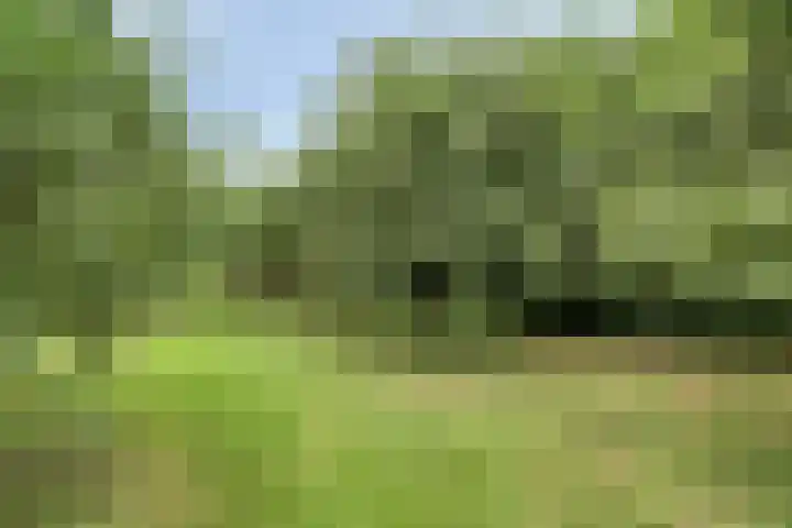 1e Pallertweg 16 Bourtange thumbnail 27